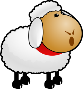Schaf
